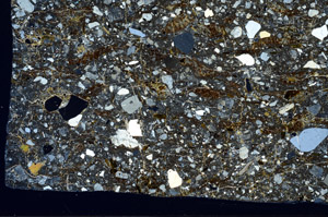 Cross Polarized, S96872