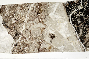 Plane Polarized, S96886