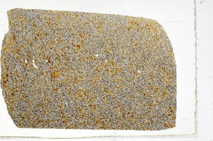 Plane Polarized, S96965