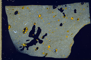 Cross Polarized, S96987