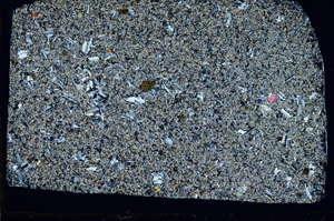 Cross Polarized, S97020