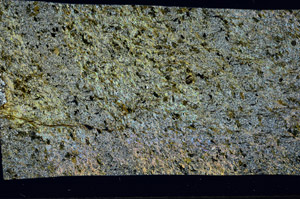 Cross Polarized, S97173