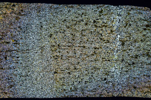 Cross Polarized, S97174