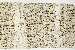 Plane Polarized, S97174