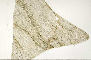 Plane Polarized, S97178