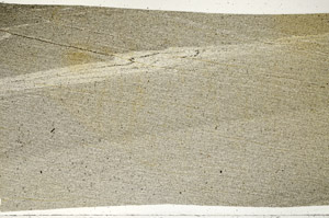 Plane Polarized, S97184