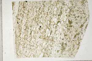 Plane Polarized, S97211