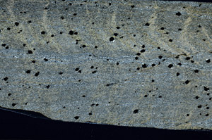 Cross Polarized, S97213