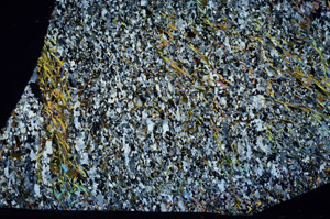 Cross Polarized, S97220