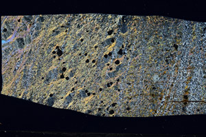 Cross Polarized, S97352