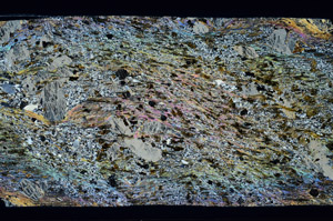 Cross Polarized, S97353