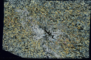 Cross Polarized, S97356