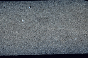 Cross Polarized, S97357