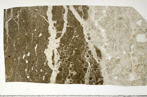 Plane Polarized, S97380