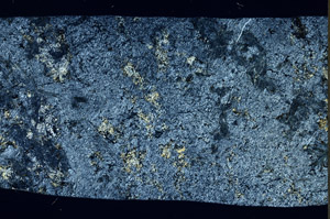 Cross Polarized, S97481