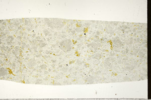 Plane Polarized, S97523