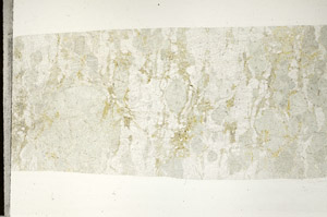 Plane Polarized, S97525