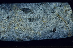 Cross Polarized, S97532