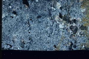 Cross Polarized, S97533