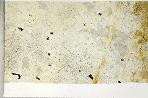 Plane Polarized, S97533