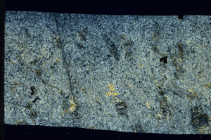 Cross Polarized, S97534