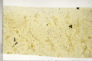 Plane Polarized, S97534