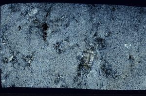 Cross Polarized, S97534/A