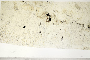 Plane Polarized, S97536