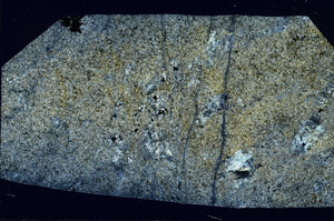 Cross Polarized, S97537