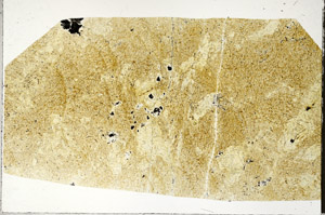 Plane Polarized, S97537