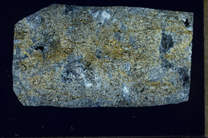 Cross Polarized, S97539