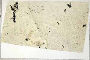 Plane Polarized, S97540