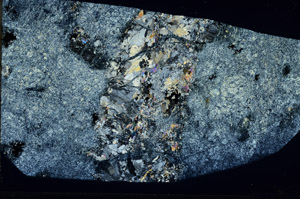 Cross Polarized, S97541