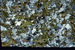 Cross Polarized, S97544