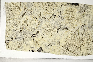 Plane Polarized, S97548