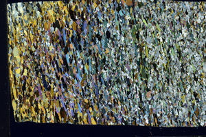 Cross Polarized, S97550