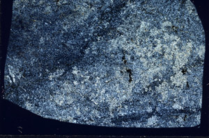Cross Polarized, S97551
