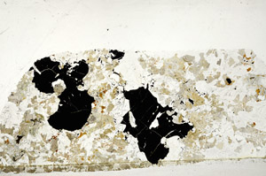 Plane Polarized, S97601