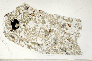 Plane Polarized, S97602