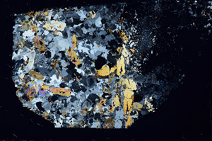 Cross Polarized, S97604