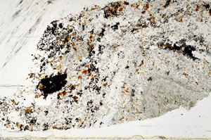 Plane Polarized, S97612