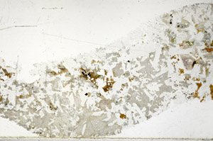 Plane Polarized, S97663