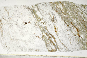 Plane Polarized, S97672