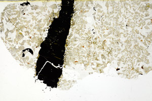 Plane Polarized, S97686