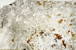 Plane Polarized, S97702
