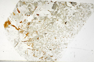 Plane Polarized, S97703