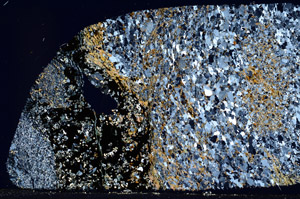 Cross Polarized, S97737