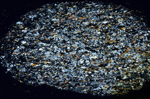 Cross Polarized, S97755