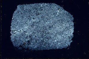 Cross Polarized, S97769