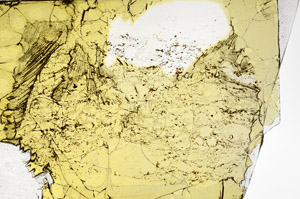 Plane Polarized, S97771